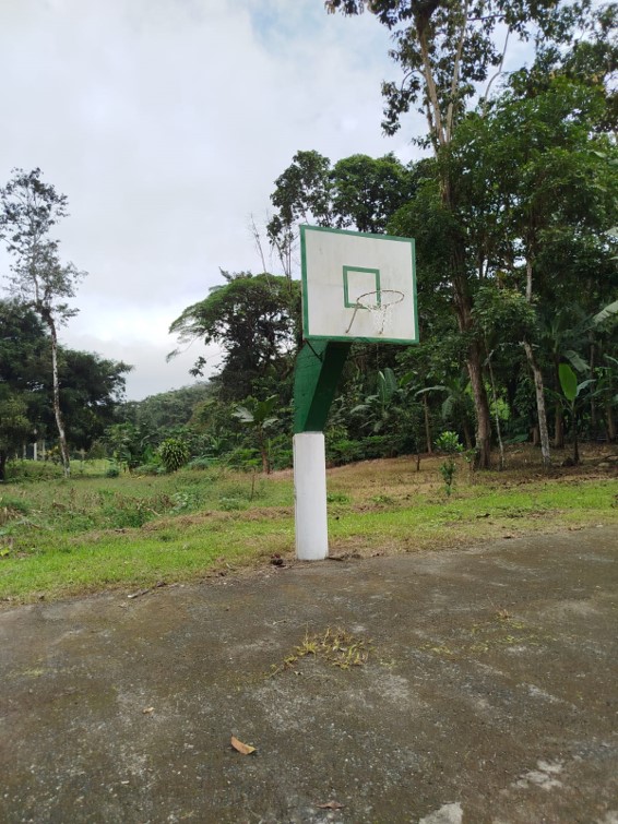 Canasta de baloncesto en el entorno natural del CETAD